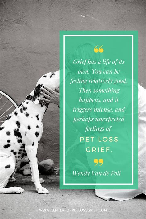 Pet Loss and Grief Support | Center For Pet Loss Grief | Pet loss grief, Pet loss, Grief support