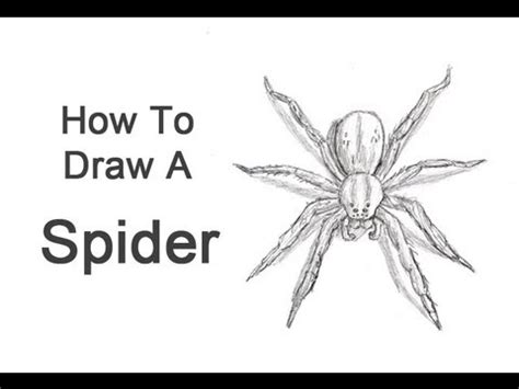 How to Draw a Spider - YouTube