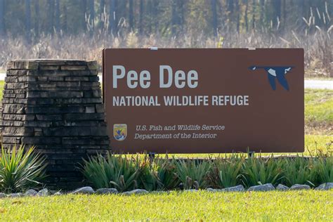 T & L Adventures: Pee Dee National Wildlife Refuge, North Carolina: 11-20-18