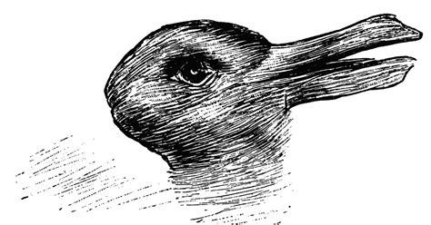 Do You See A Duck Or A Bunny In This Optical Illusion? Your Answer Reveals A Lot About You