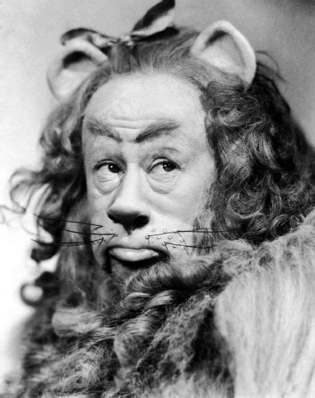 The Cowardly Lion - The Wizard of Oz Photo (9615260) - Fanpop