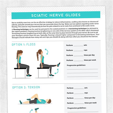 Sciatic Nerve Stretches Pdf