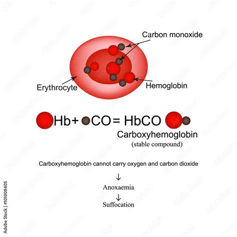 Carboxyhemoglobin. Joining the hemoglobin carbon monoxide. Carbon monoxide poisoning ...