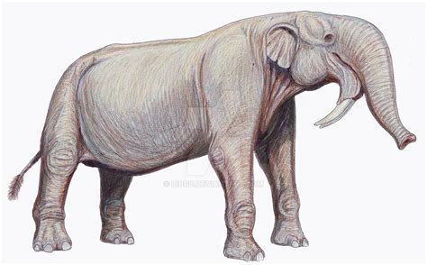 Deinotherium 'thraciensis' by DiBgd on DeviantArt