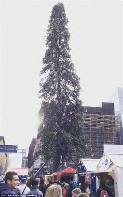 Montreal's scrawny and lopsided Christmas tree becomes the subject of ...