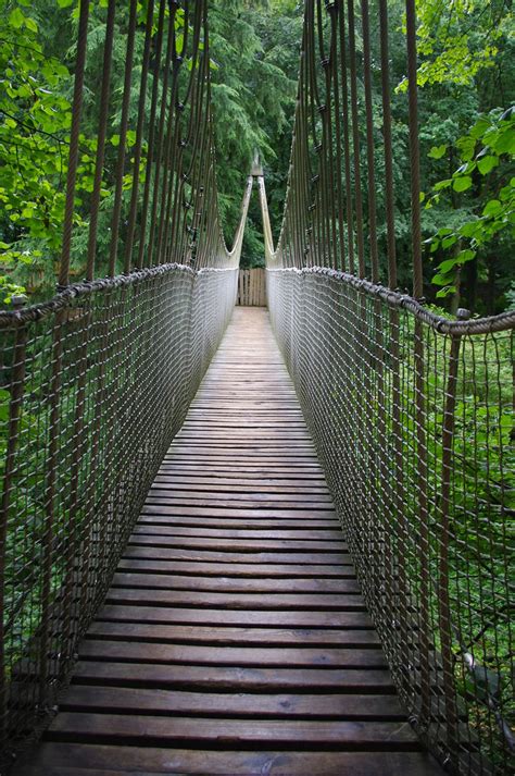 Treehouse Rope Bridge | One of two very wobbly rope bridges … | Flickr