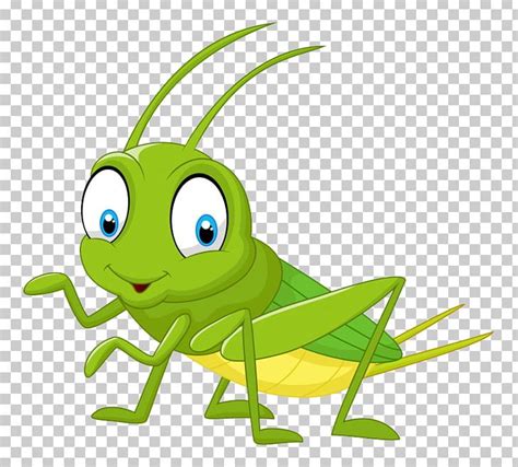 Cricket Bug Clipart Pics