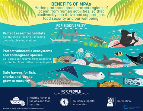 Benefits of Marine Protected Areas | Save Our Seas Foundation