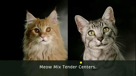 Meow Mix TV Commercial for Meow Mix Tender Centers - iSpot.tv