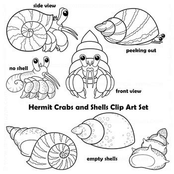 Hermit Crab Clip Art by Dancing Crayon Designs | TPT