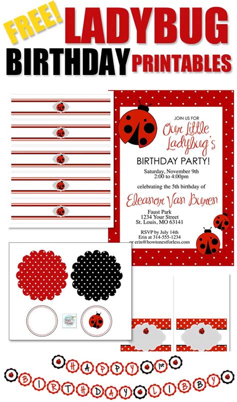 Ladybug Birthday Party with FREE Printables - How to Nest for Less™