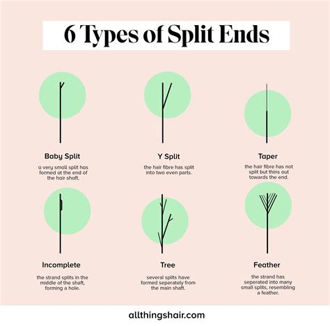 Complete Guide to Rid of Split Ends and Prevent Future Damage | All ...