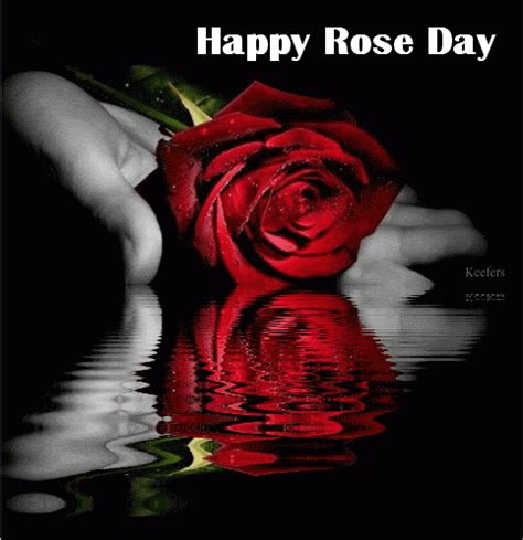 Rose Day messages, gif, WhatsApp Messages, SMS and Greetings 2022 - RGBTech