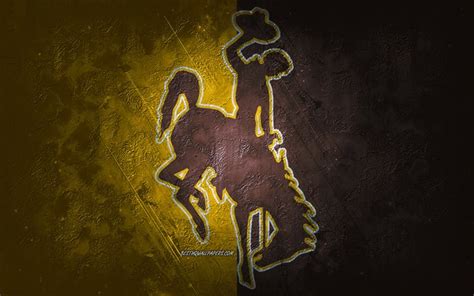 Wyoming Cowboys Wallpaper : The University Of Wyoming Volleyball Team And Head Coach Chad ...