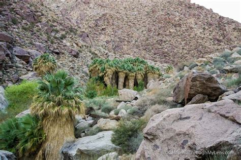 Borrego Palm Canyon Trail in Anza Borrego State Park - California ...