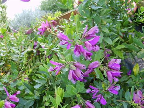 Épinglé sur Culture jardin