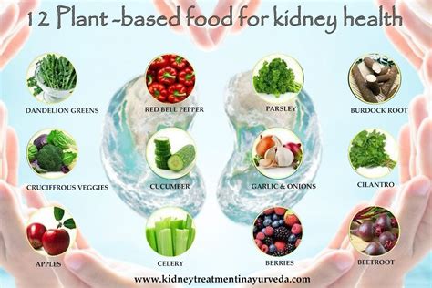 What Is Good For Kidneys - HealthyKidneyClub.com