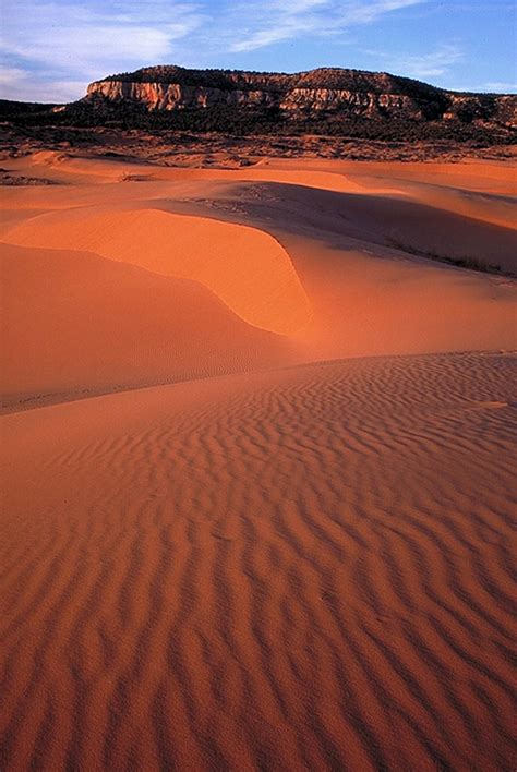 Coral Pink Sand Dunes State Park in Kanab, Utah, sees little more than ...