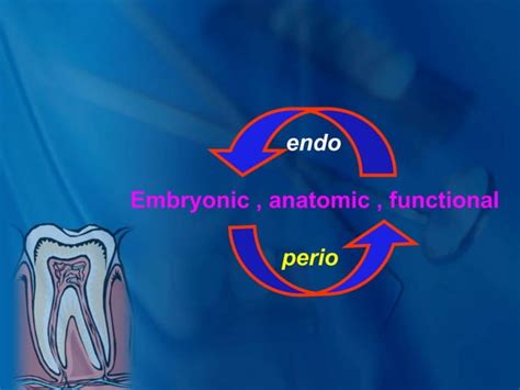 Endo – Perio lesions.ppt