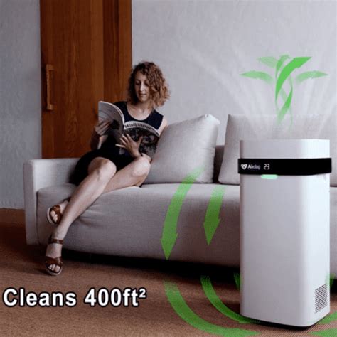 4 Best Airdog Purifier Reviews (2024) - What Fans