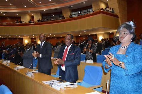 The ayes have it, Malawi Parliament passes Land, MHC bills - Malawi Nyasa Times - News from ...