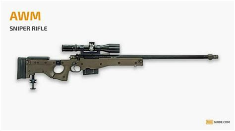 Accuracy International AWM, its Accuracy and All You Need to know about