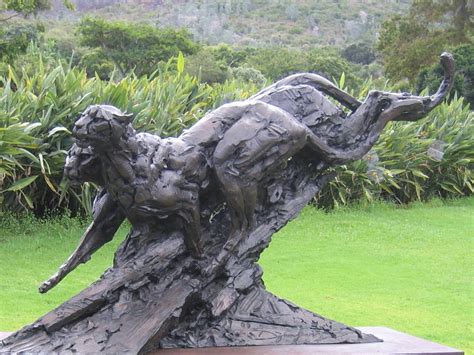 Kirstenbosch botanical gardens Cape Town | Wildlife Insight