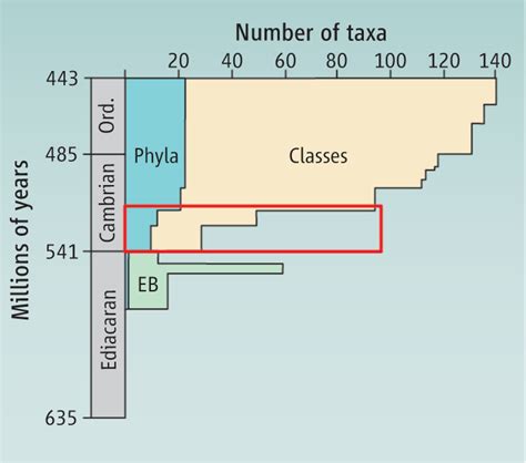 Causes of the Cambrian Explosion | Science