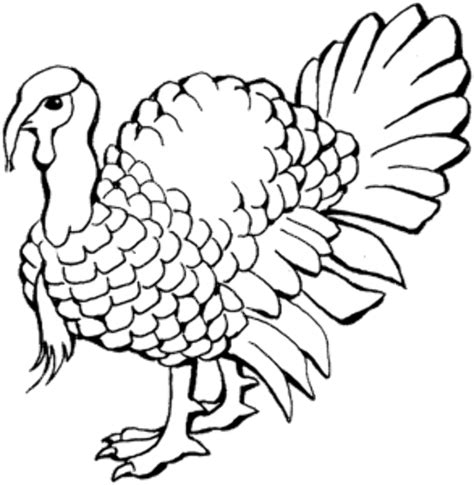 Download High Quality turkey clipart black and white wild Transparent PNG Images - Art Prim clip ...