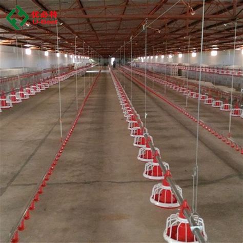 Automatic Poultry Broiler House Equipment for Chicken Farm - China ...