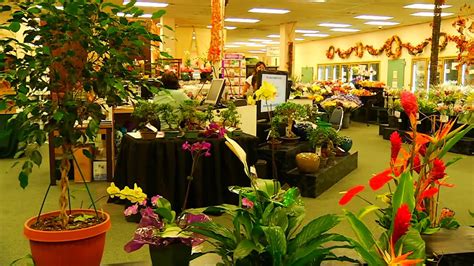 Watanabe Floral Company Overview | Watanabe Floral - Honolulu, Hawaii ...