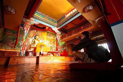 Finding the Dalai Lama in Dharamsala: On the Path to Enlightenment ...