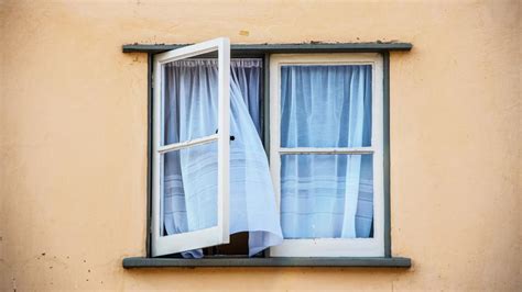 Types of Windows For Your Home – Forbes Advisor