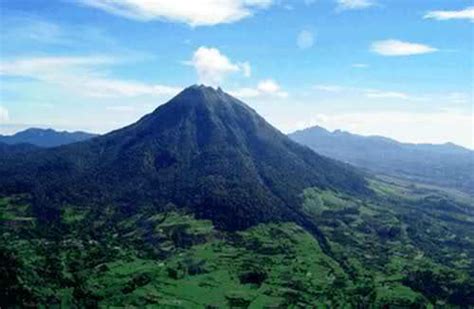 Tropical Rainforest Heritage of Sumatra - Alchetron, the free social encyclopedia