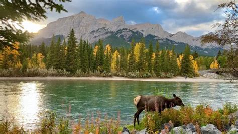 The 11 Best Canmore Hiking & Walking Trails - Banff National Park