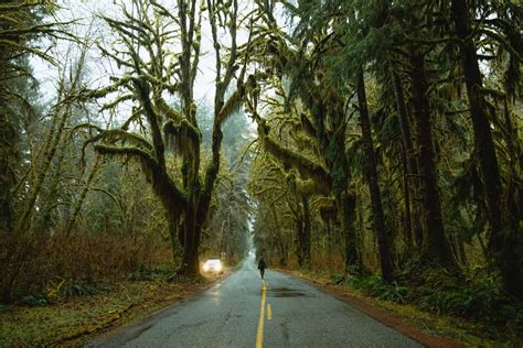 The Ultimate Twilight Tour in Forks, WA (Make The Books Come Alive!) - The Mandagies