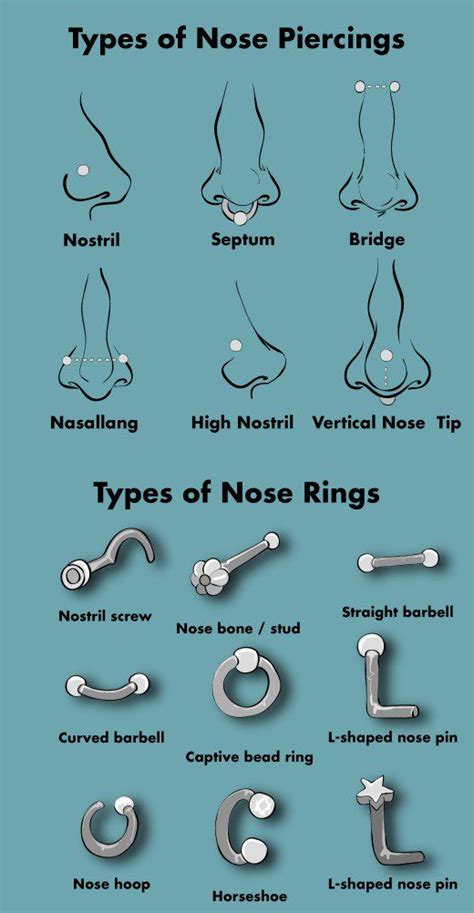 Types of nose rings and nose piercings | Cute nose piercings, Nose piercing jewelry, Face piercings