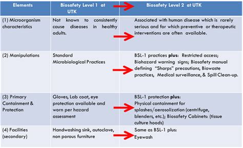 Biosafety Cabinet Types Differences | Cabinets Matttroy