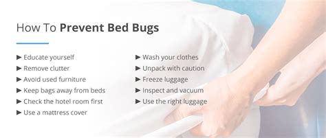 Chapter 4: Prevention & Treatment of Bed Bugs | Pestech Online Guide
