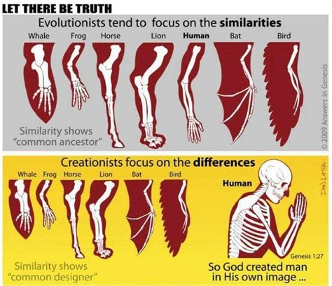 Creation versus Evolution | Evolution, Bible facts, Bible study scripture