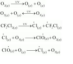 Write chain reactions of ozone layer | Class Eleven Chemistry