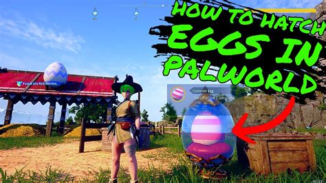 How to HATCH EGGS in PALWORLD!!! EGG Guide - YouTube