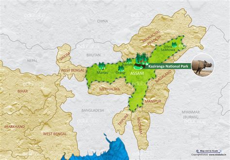 Kaziranga National Park | Definition, Map & Facts for Exam | EDUBABA