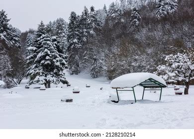 Abant Lake Nature Park Bolu Turkey Stock Photo 2128210214 | Shutterstock