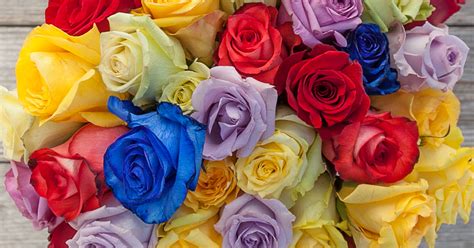 What Do The Colors of Roses Mean? | Bouqs Blog