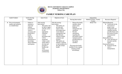 SOLUTION: Sample Family Nursing Care Plan - Studypool