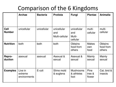 PPT - Comparison of the 6 Kingdoms PowerPoint Presentation, free download - ID:2436285