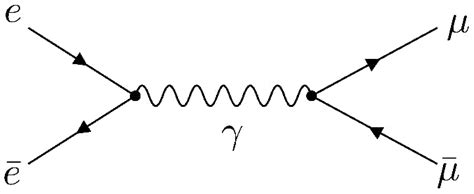 Richard Feynman Diagrams