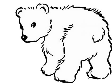 20+ Free Printable Polar Bear Coloring Pages - EverFreeColoring.com