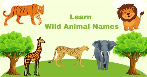 Top 155+ All wild animal name with picture - Merkantilaklubben.org